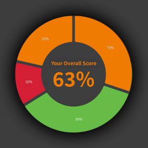 Donut chart with overall result 63% and segments: 30%, 53%, 75%, 90%